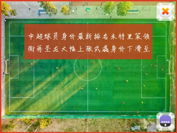 中超球员身价最新排名米特里策领衔蒋圣龙大幅上涨武磊身价下滑至50万