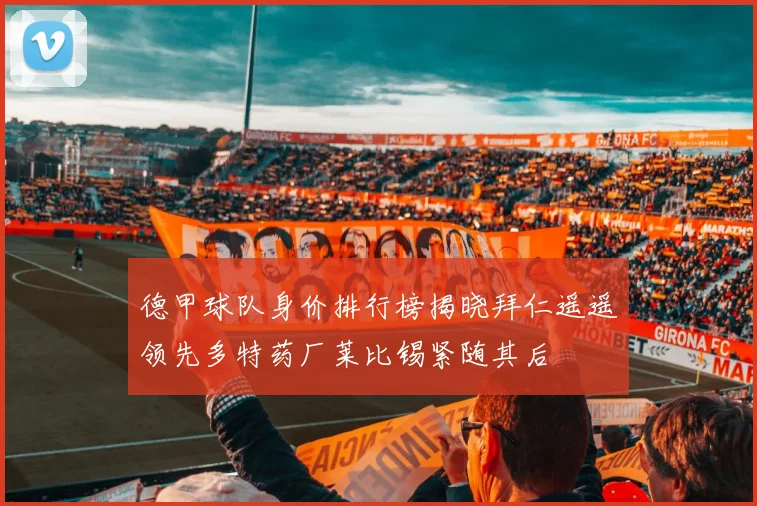德甲球队身价排行榜揭晓拜仁遥遥领先多特药厂莱比锡紧随其后